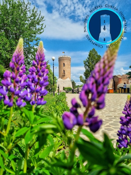  Muzeele Complexului Național Muzeal „Curtea Domnească” Târgoviște, deschise în perioada 10 - 13 aprilie 2026!