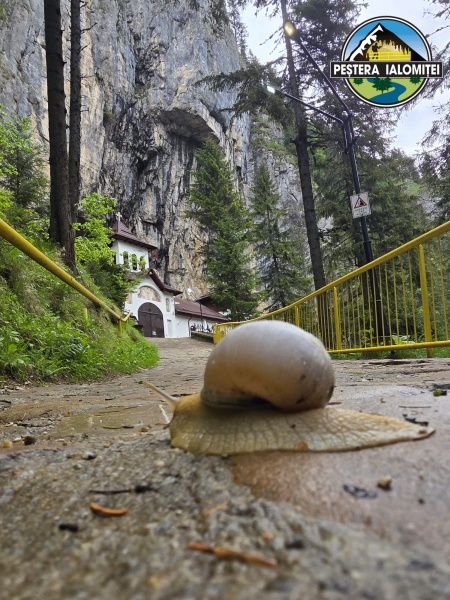 PEȘTERA IALOMIȚEI, DESTINAȚIA IDEALĂ ÎN ZILELE CANICULARE